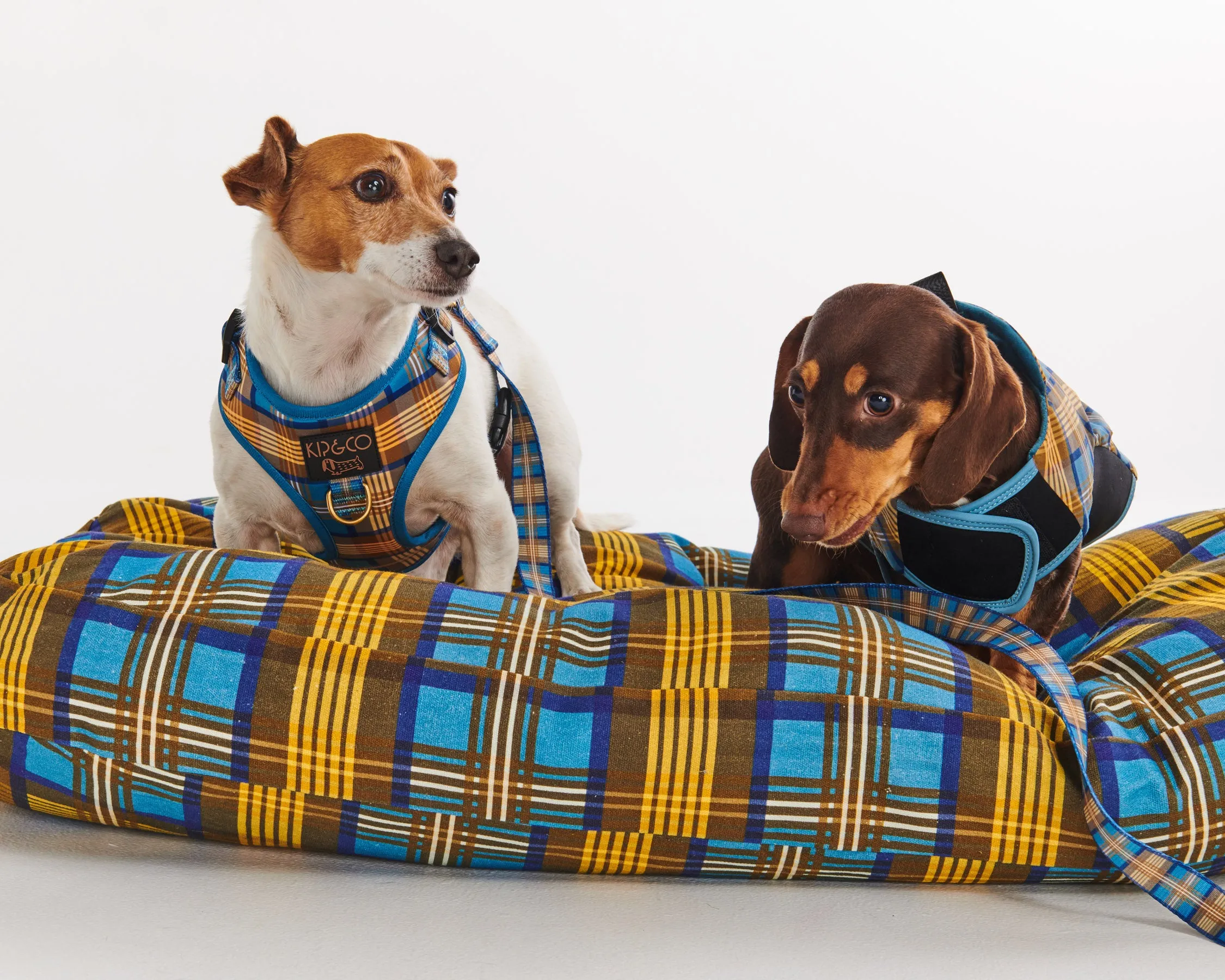 Cosy Tartan Dog Bed