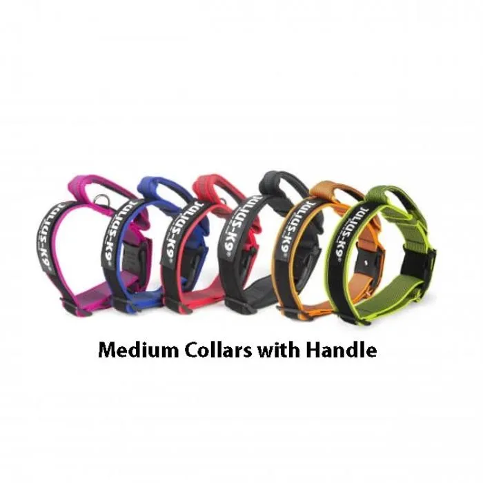 Medium Collar with handle and safety lock - 40mm Thick