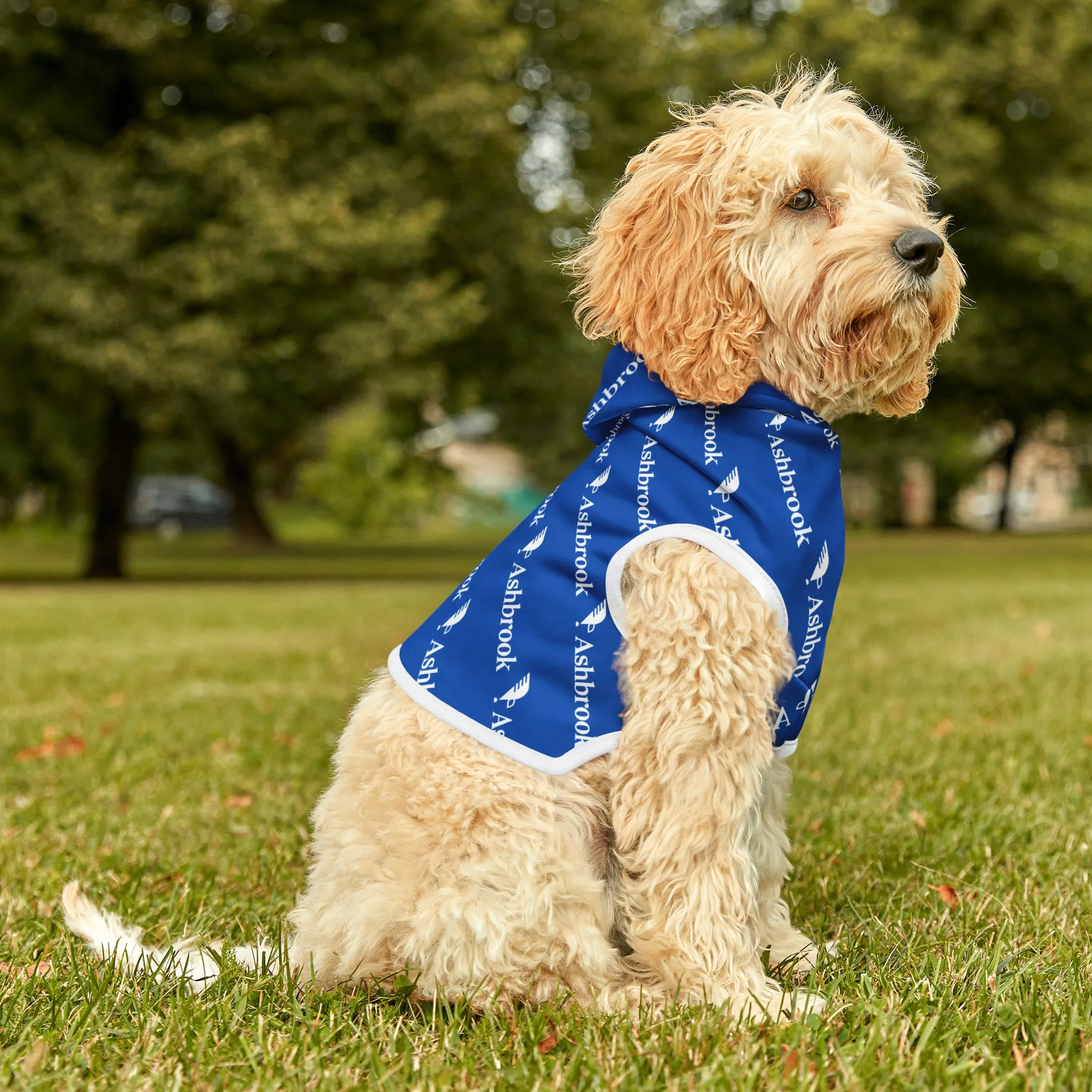 Pet Hoodie