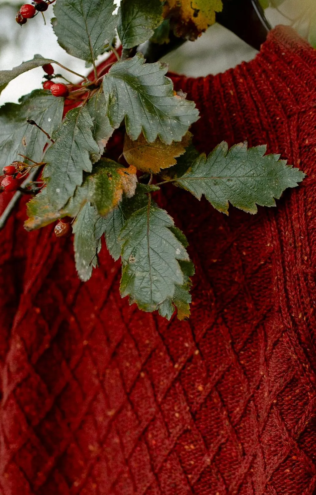 The Blisco Donegal Aran Sweater in Brick Red