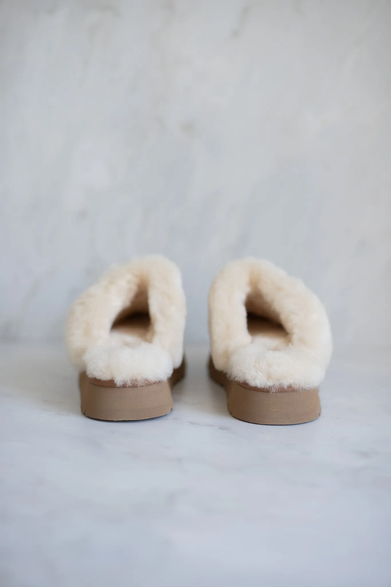 UGG W Disquette