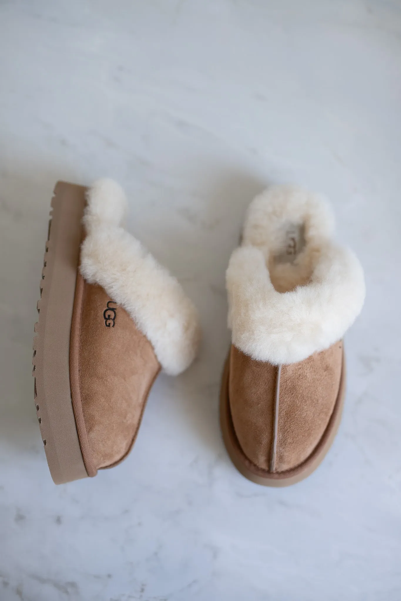 UGG W Disquette