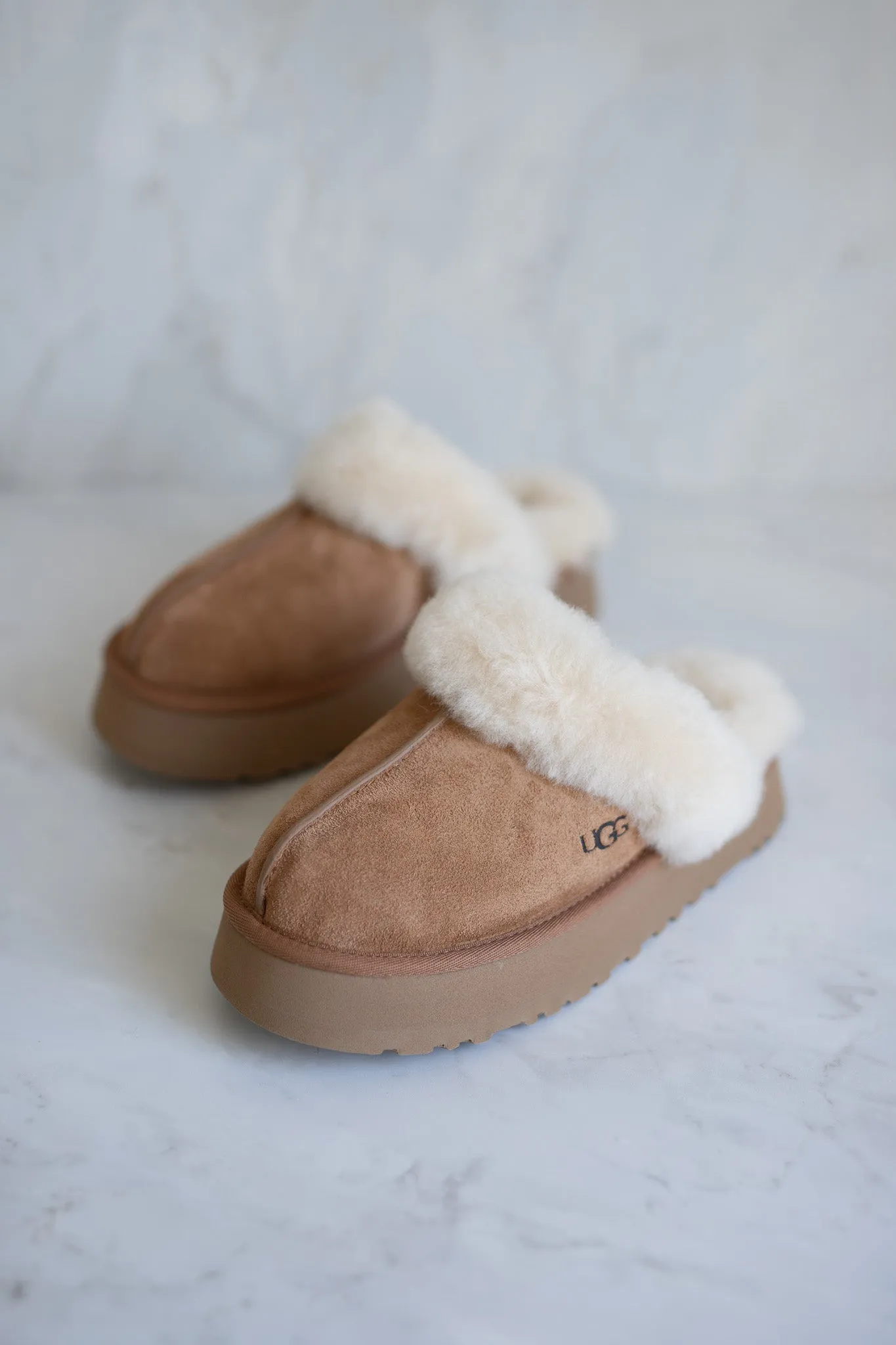 UGG W Disquette